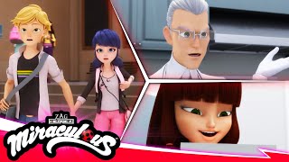 MIRACULOUS  🐞 COMPILATION 7  SEASON 5 🐾  Tales of Ladybug amp Cat Noir [upl. by Ynnahc207]