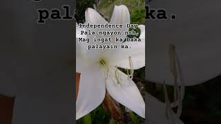 Independence Day Araw ng kalayaan motrending viral viralvideo viralshorts [upl. by Conti439]