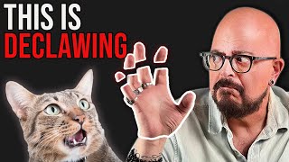 The Truth About Declawing Cats [upl. by Mcgean865]