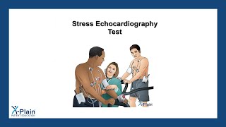 Stress Echocardiography Test [upl. by Erihppas]