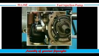 24InLine Motorpal Size MI Pump Assembly of governor flyweights تركيب أثقال أوزان الجفرنير [upl. by Adnahsat]