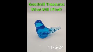 584 Goodwill Treasures What will we find today 11624 [upl. by Eentruoc]