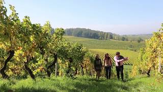 Cette année destination la Dordogne Périgord [upl. by Schilling775]