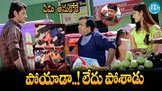 Pokiri Movie Back To Back Comedy Scenes Mahesh Babu Brahmanandam Ali  iDream Kadapa [upl. by Nnylireg105]