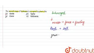 The second stage of hydrosere is occupied by plants like [upl. by Dibrin]