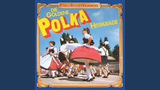 AmboßPolka Polka [upl. by Wooldridge]