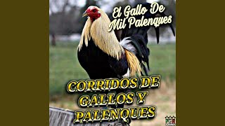 La Emboscada Del Gallo [upl. by Ennairak]