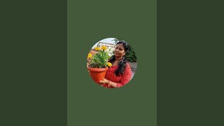 Gardening with Arundhati is live [upl. by Braynard]