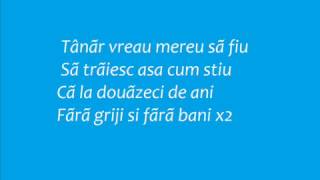 Voltaj 20 de ani Lyrics [upl. by Dlorrej428]