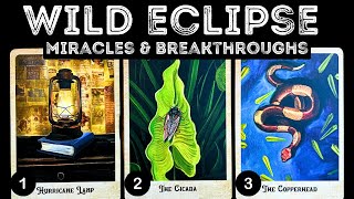 💥WILD Eclipse Miracles amp Breakthroughs ⭐️⭐️⭐️⎮pick a card 🃏 tarot reading [upl. by Atalanta]