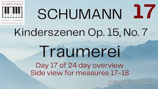 How to Play Schumann Traumerei on Piano Op 15 No 7  24 Day OverviewVideo 17side view 1718 [upl. by Stauffer]