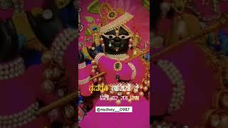 Varindavan 😍❤🙏🌿trending shortvideo radhakrishna video viralvideo [upl. by Odlanra]