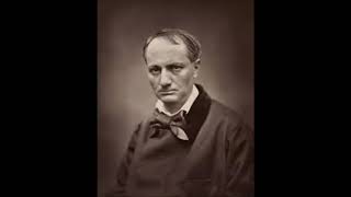 L Étranger  Charles Baudelaire AudioBook FR [upl. by Menashem808]