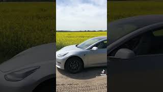 Tesla Model 3 Long Range [upl. by Esilehs]