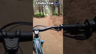 This Bike Park has the SICKEST Flow Trails [upl. by Xeno]