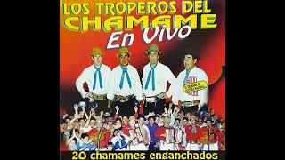 LOS TROPEROS DEL CHAMAME  20 chamames enganchados [upl. by Ecnerewal]