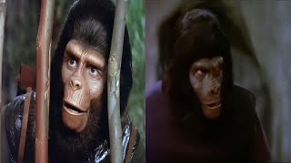 Planet of the Apes TV Series  A Cult Classics People Barely Remember [upl. by Caren]