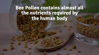 Bee Pollen  Natures Perfect Food [upl. by Sink]