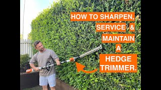 HOW TO SHARPEN SERVICE amp MAINTAIN A HEDGE TRIMMER DIY [upl. by Ilrahs]