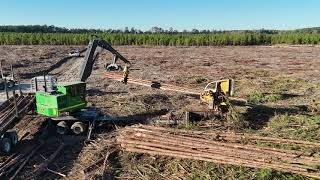 Carolina Logging  Moving along built a road to reach long drags [upl. by Sloan]