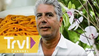 Spaghetti for Breakfast  Anthony Bourdain No Reservations  Travel Channel [upl. by Campball]