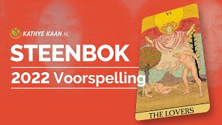 STEENBOK 2022 Voorspelling  WAUW ENORM SUCCES 💝 Tarot Kaartlegging Horoscoop Lezing 🌹 [upl. by Joung]