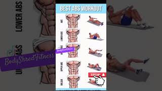 The Best Abs Workout and Why It Works [upl. by Enened]