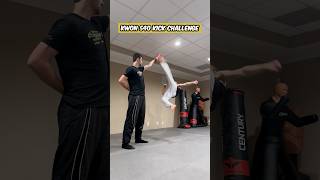 Kwon 540 Kick Challenge shorts martialarts cobrakai [upl. by Arlyn4]