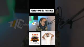 Abule cover by patoranking this is awesome [upl. by Col699]