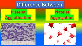 Difference between Platelet Agglutination and platelet Aggregation [upl. by Redlac440]