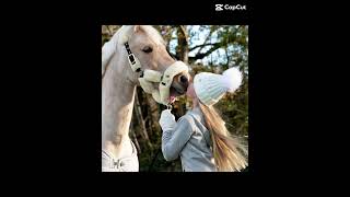 Harlow and popcorn edit ❤️ harlow pony horses [upl. by Settera]