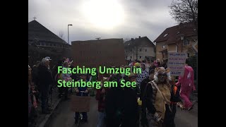 Fasching Umzug in Steinberg am See in Bayern 2024 [upl. by Justus]