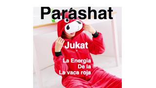 Kabalah Secretos del Zohar Parashat Jukat Pte1 [upl. by Eicam]