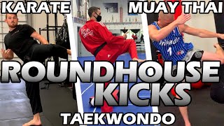 How Different Martial Arts ROUNDHOUSE KICK  Muay Thai  Taekwondo  Karate [upl. by Matthei]