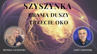 2 Szyszynka Brama Duszy Trzecie Oko ORME Wyższa Jaźń DMT  Monika Cichocka Andy Ziggy [upl. by Annairoc]