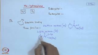 Mod22 Lec22 Molybdenum Enzymes  I [upl. by Otanutrof]