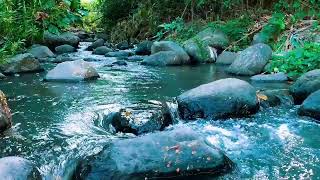 Relaxing birds amp water sounds nature river sounds for sleep meditation relaxation flowing water [upl. by Sigsmond]