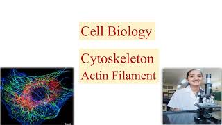 CYTOSKELETON PART 1 ACTIN FILAMENT  In detail  CSIR net DBT  ICMR  IIT JAM  GATE [upl. by Nuawad561]