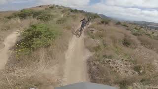 Karearea  Arapuke MTB Park [upl. by Barde]