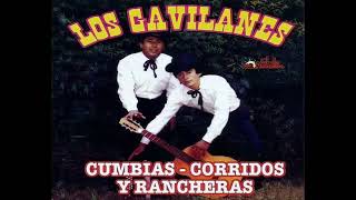 Los gavilanes completo [upl. by Berhley]