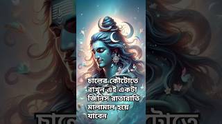 চালের কৌটোতে রাখুন এই একটা জিনিস astrology hindi shorts youtubeshorts bholenath shivshambhu [upl. by Larrej]