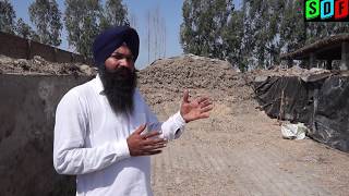 Importance of green fodder and silage at a DAIRY FARM told by a experienced Dairy farmer [upl. by Eyak772]