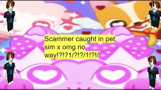 Real proof of Pet Simulator X partner scamming mechanism [upl. by Eednam]