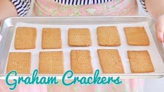 Making Your Own Homemade Graham Crackers  Bigger Bolder Baking [upl. by Jacquie814]