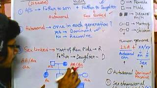 6 Pedigree analysis  autosomal recessive [upl. by Senilec]