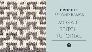 How to Crochet Mosaic Stitch StepbyStep Tutorial [upl. by Khalid529]