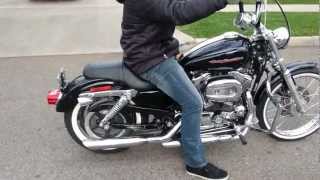 2007 Harley Davidson Sportster 1200 for sale [upl. by Misha101]