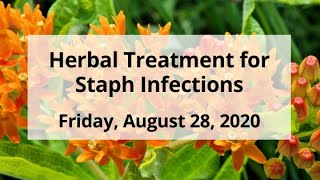 Herbal Treatment for Staph Infections [upl. by Sarajane608]