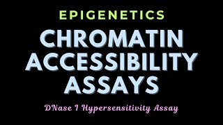 DNase I hypersensitivity assay  Chromatin remodeling assays  Epigenetics  GATECSIRNET [upl. by Tillford]