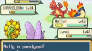 Lets Play Pokémon FireRed Omega  Part 45 Seaside Stroll w ty Story [upl. by Yatnwahs279]